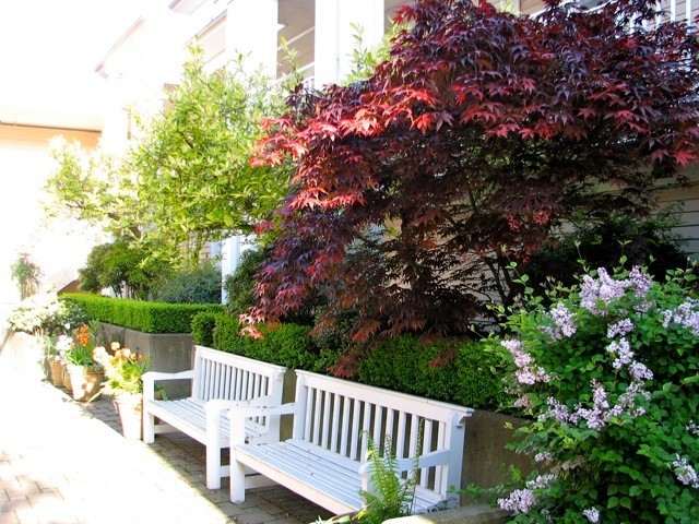 Trafalgar Mews photo 7