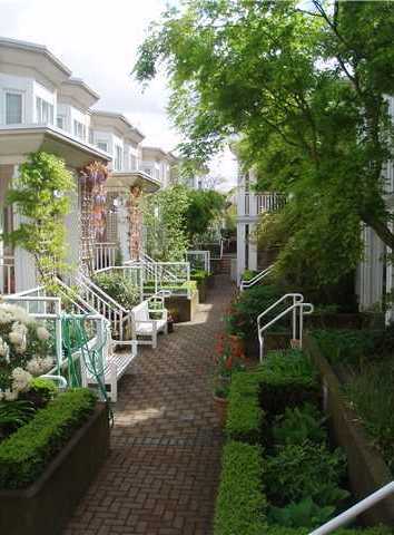 Trafalgar Mews photo 8