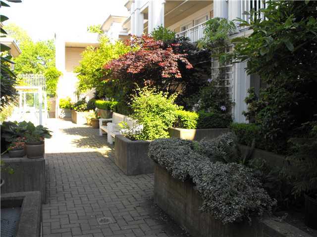 Trafalgar Mews photo 9