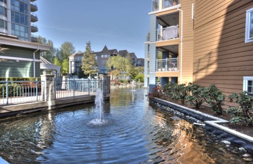 Lakeside Terrace photo 7