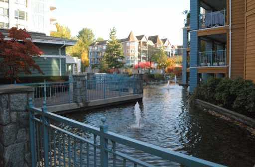 Lakeside Terrace photo 7