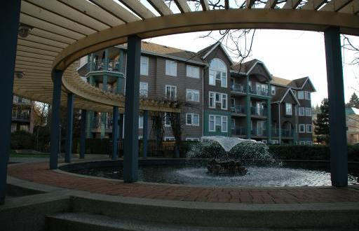Lakeside Terrace photo 5