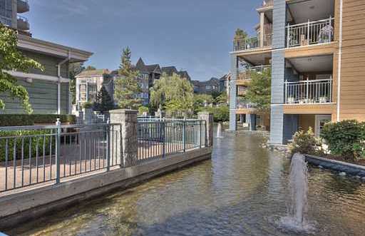 Lakeside Terrace photo 8