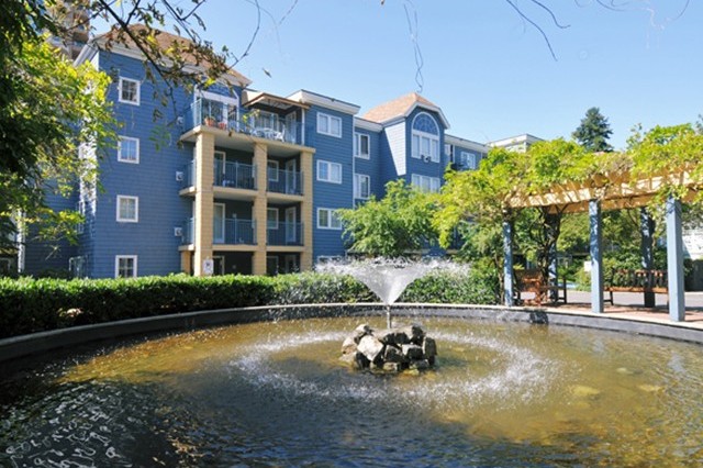 Lakeside Terrace photo 12