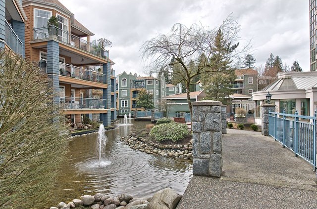 Lakeside Terrace photo 6