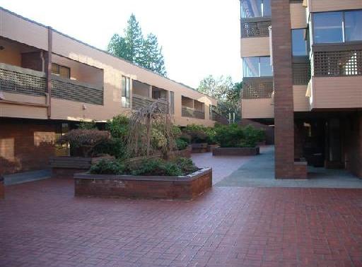 Photo 6 — click to view Langara Court photo 6