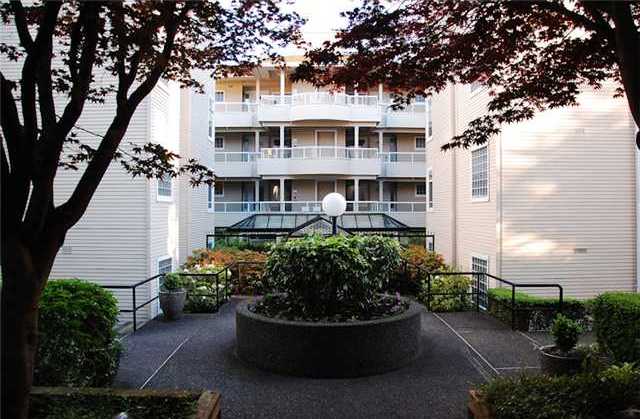 Langara Springs photo 11