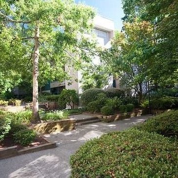 Tiffany Court photo 9