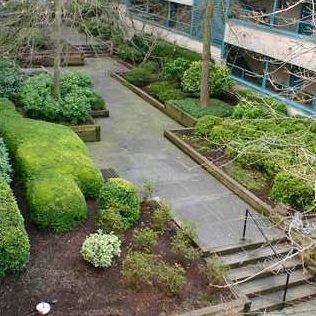 Tiffany Court photo 8