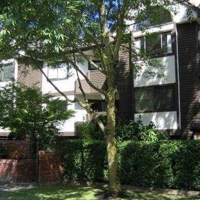 Dorchester Place photo 4