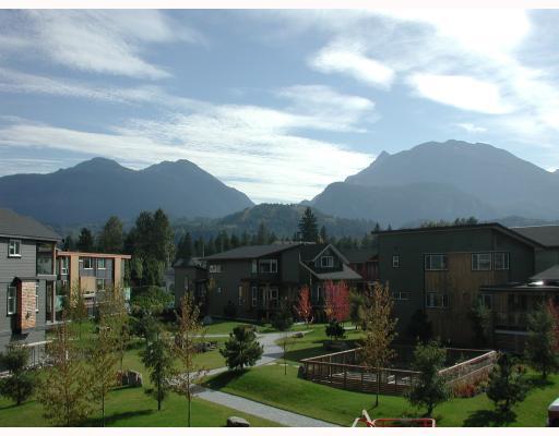 Amblepath photo 9