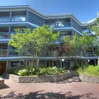 Granville Island Village photo 3