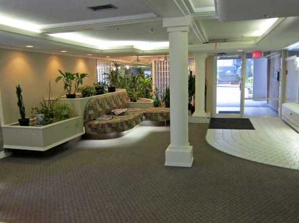 Charlotte Gardens photo 5