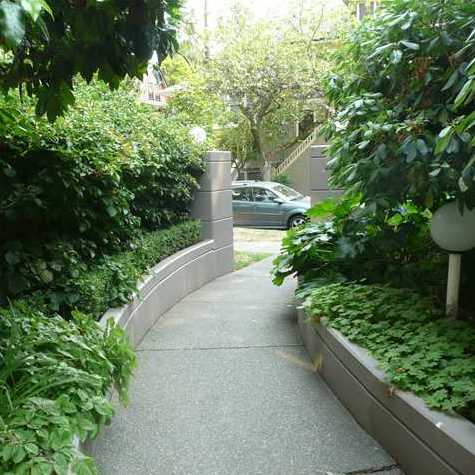 The Palladian photo 5