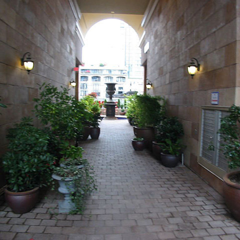 Grace photo 11