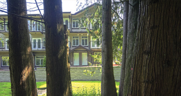 Cedar Landing