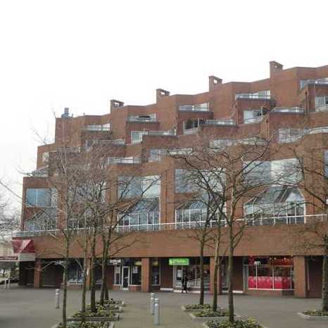 The Terraces