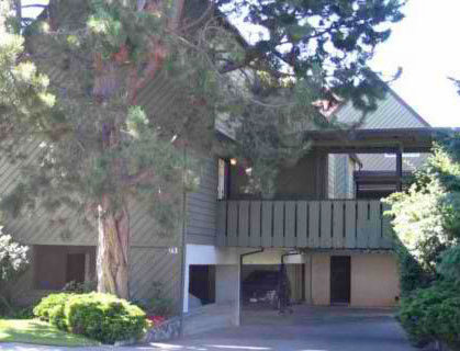251 Ontario