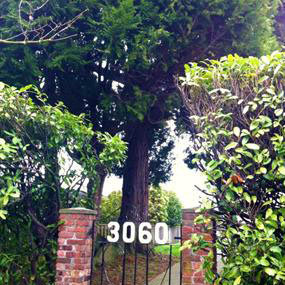 Photo 9 3060 Harriet Rd photo 9