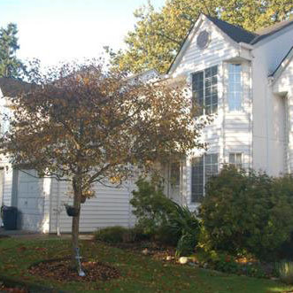 Photo 2 Henderson Estates photo 2