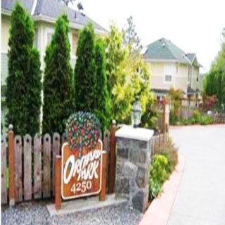 4250 Quadra St photo 3