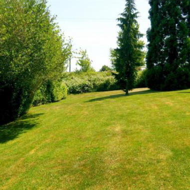Myhre Terrace photo 6