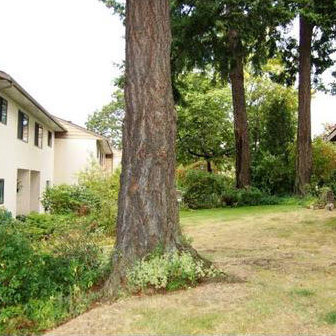 Photo 11 Lakewood photo 11