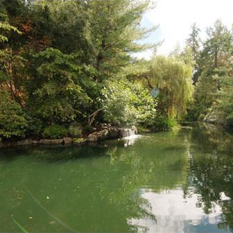 Edgewater photo 5