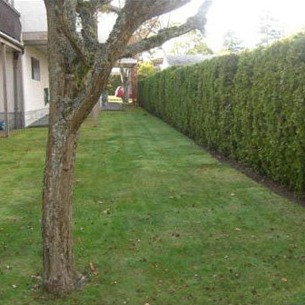 Photo 14 Lakewood photo 14