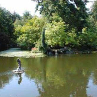 Edgewater photo 7