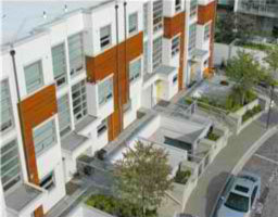 Photo 8 — click to view Synergy photo 8