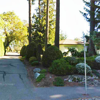 Photo 3 Royal Woods photo 3