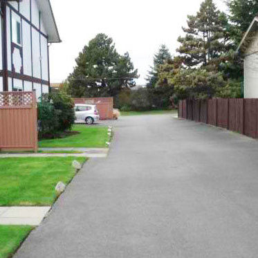 Shelley Garden photo 4