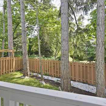 4250 Quadra St photo 5