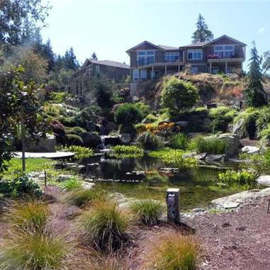 Madrona Creek photo 5