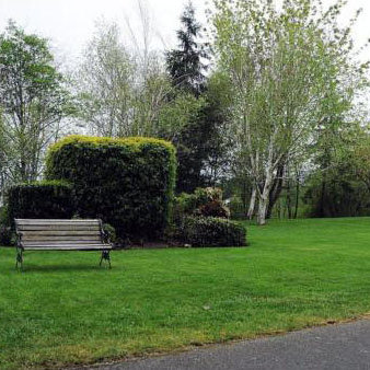 Colwoods photo 9