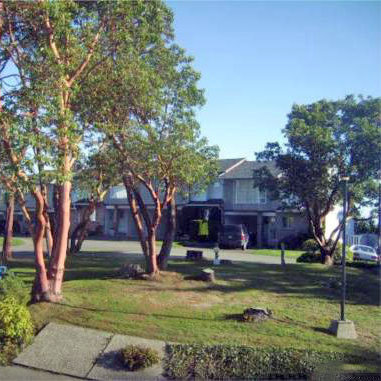 Photo 9 Ocean Pacifica photo 9