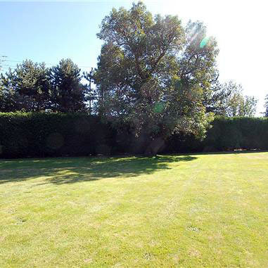 Oak Dell photo 9