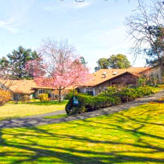 Village Grove photo 7