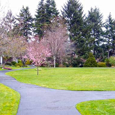 Village Grove photo 9