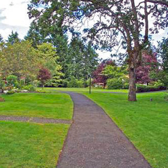 Village Grove photo 8