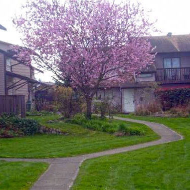 Photo 2 Pacific Village photo 2