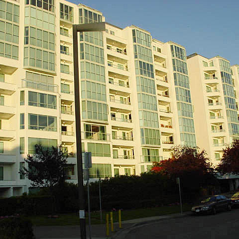 Pacific Cove photo 8