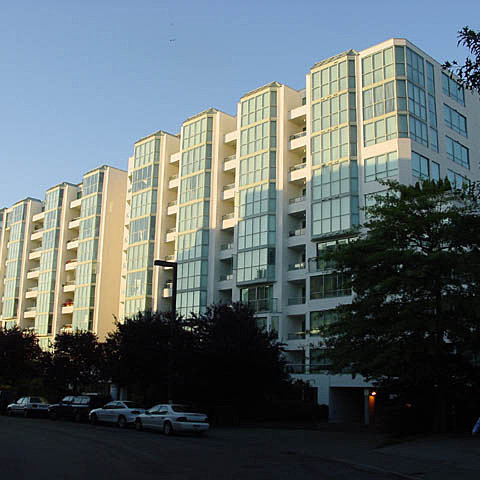 Pacific Cove photo 3