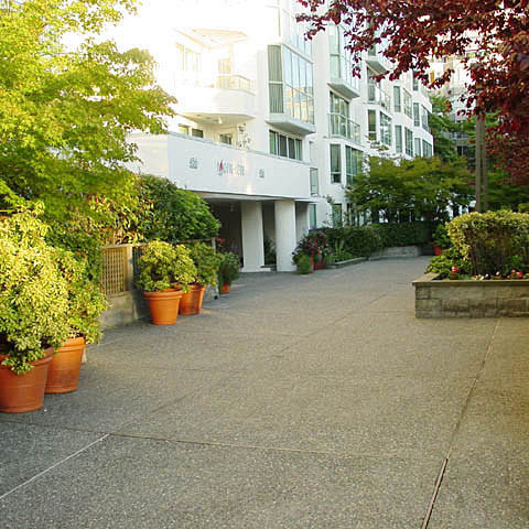 Pacific Cove photo 7