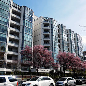 Pacific Cove
