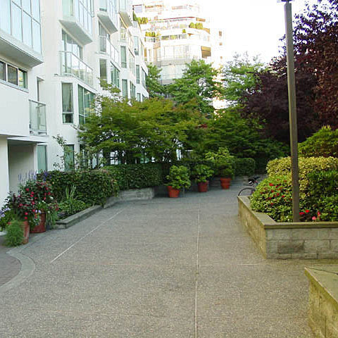 Pacific Cove photo 13