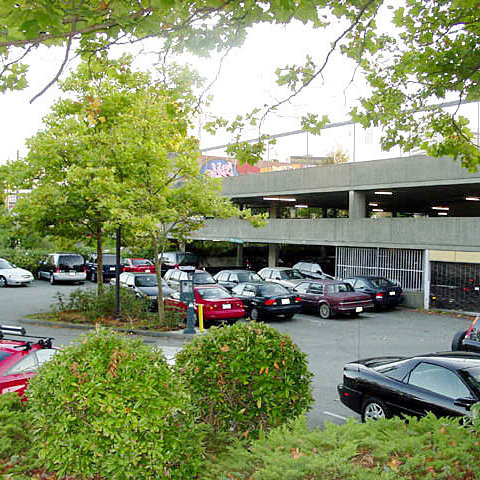 Pacific Cove photo 12