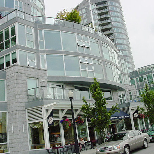 Bauhinia photo 13