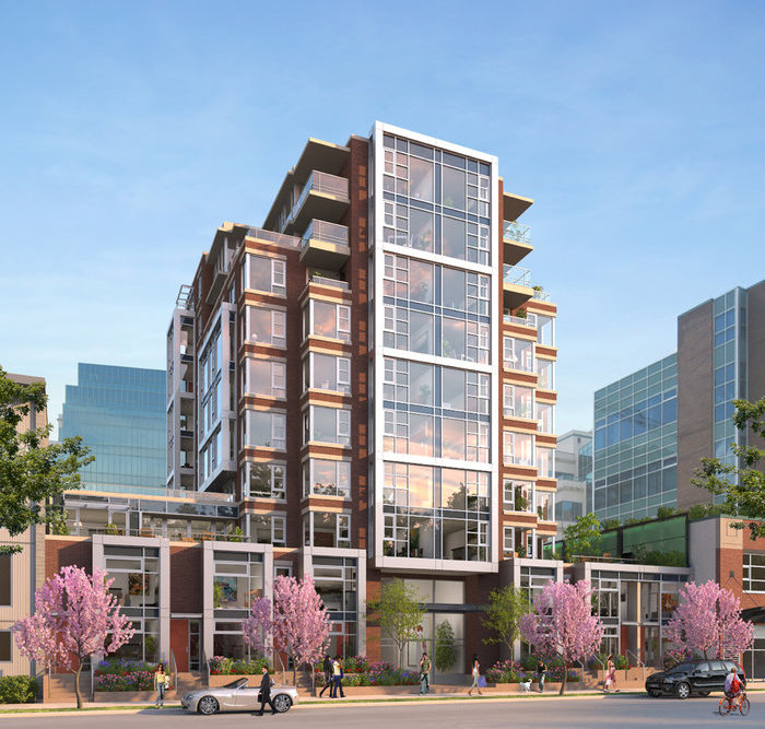 Cambie+7